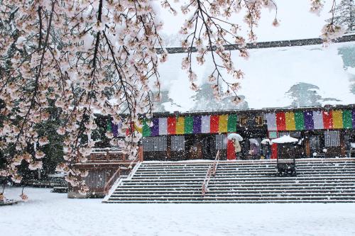 0150喜多院　桜隠しの雪