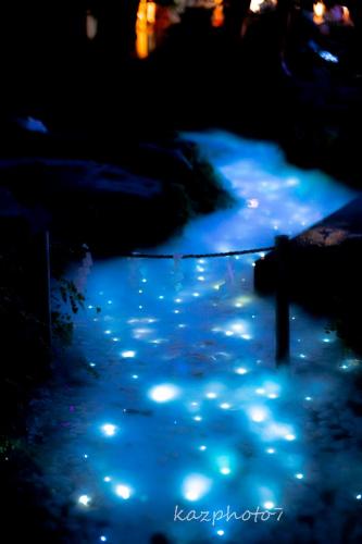0214神秘的な光る川