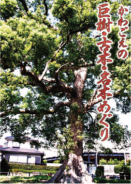 写真：かわごえの巨樹・古木・名木めぐりの表紙