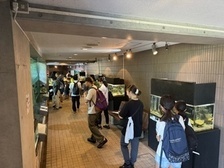 写真:水族館
