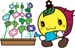 イラスト:朝顔に水をやるときも