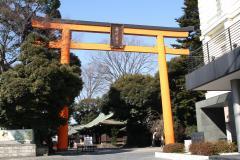 写真:氷川神社の大鳥居
