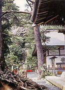 写真:山本不動尊