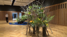 写真:作品展示5