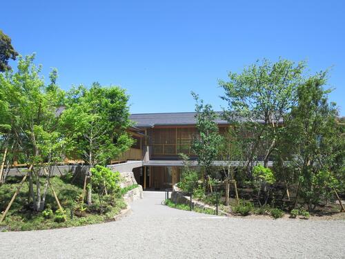 写真：氷川の杜整備計画