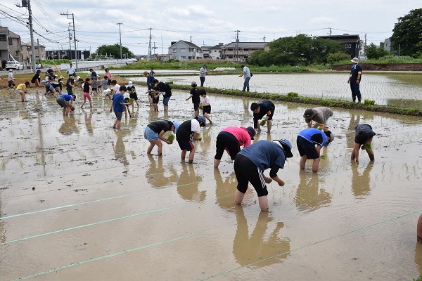 写真：活動の様子2