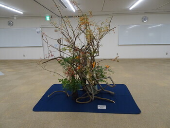 写真:華道作品の展示の様子