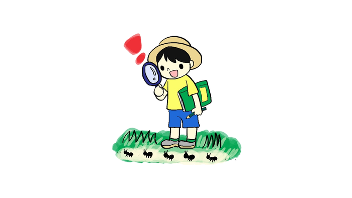 昆虫採集のイラスト