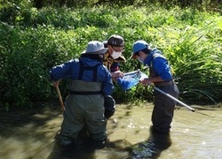 写真：網に入った魚を観察する様子