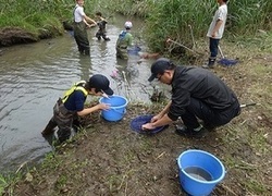 写真：屈みこみバケツや網に入った魚を観察する様子