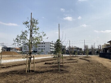 写真:散策路エリアに植樹した様子