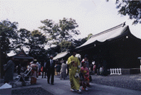 氷川神社境内の写真