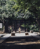 三芳野神社参道の写真